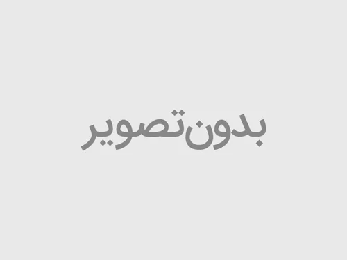 مجموعه ریموت کنترل جرثقیل سقفی تله کرین F24-12D